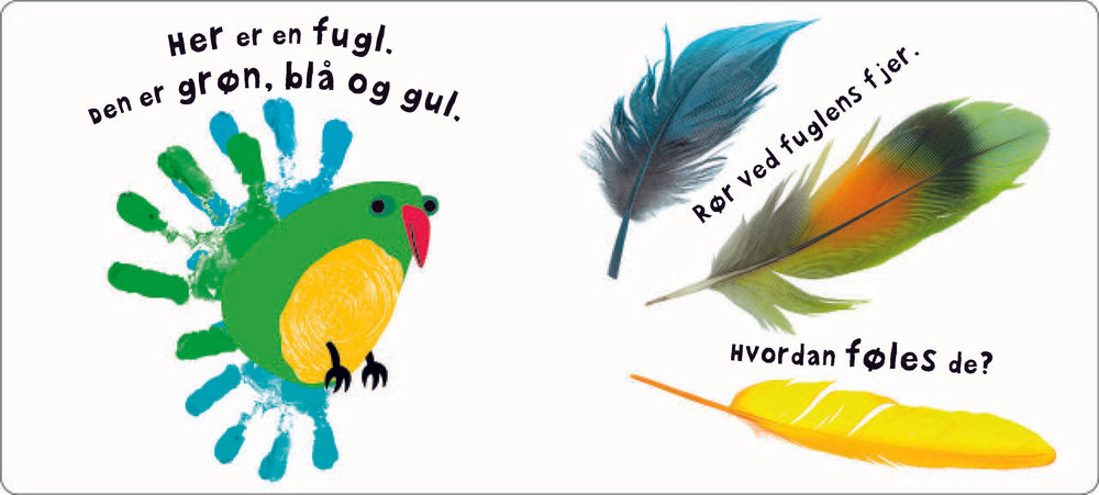Se, rør, føl og FORM - en sansebog