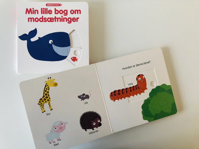 Sprogstart: Min lille bog om modsætninger